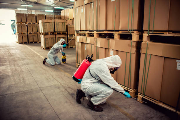 Best Local Pest Control Services  in Bismarck, ND