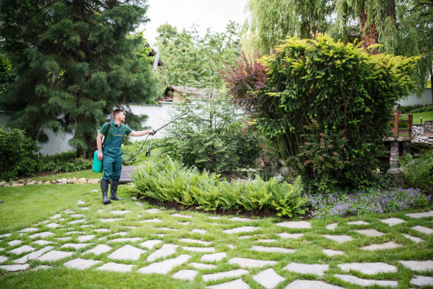Best Mosquito Control Services  in Bismarck, ND