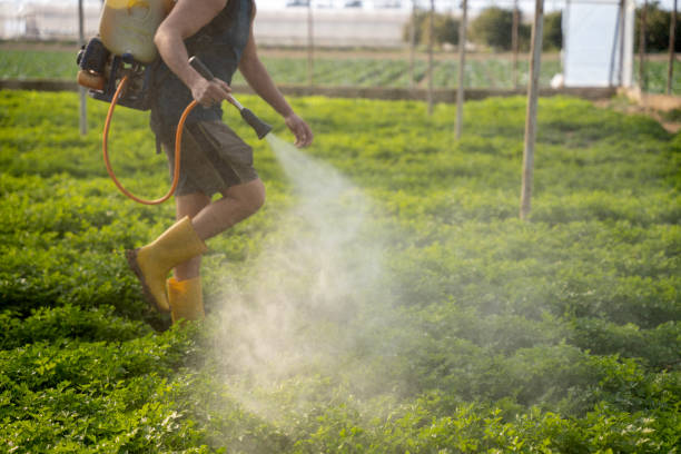 Best Pest Control Near Me  in Bismarck, ND
