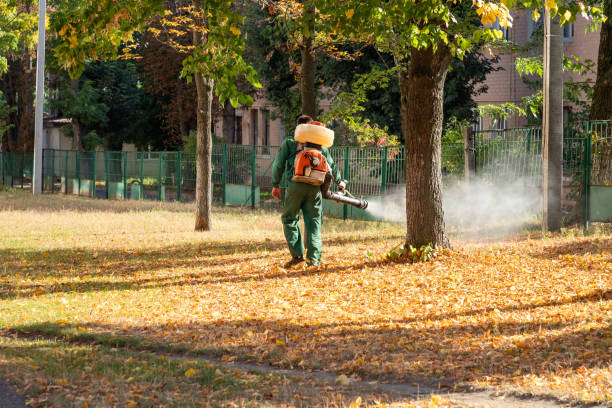 Best Best Pest Control Companies  in Bismarck, ND